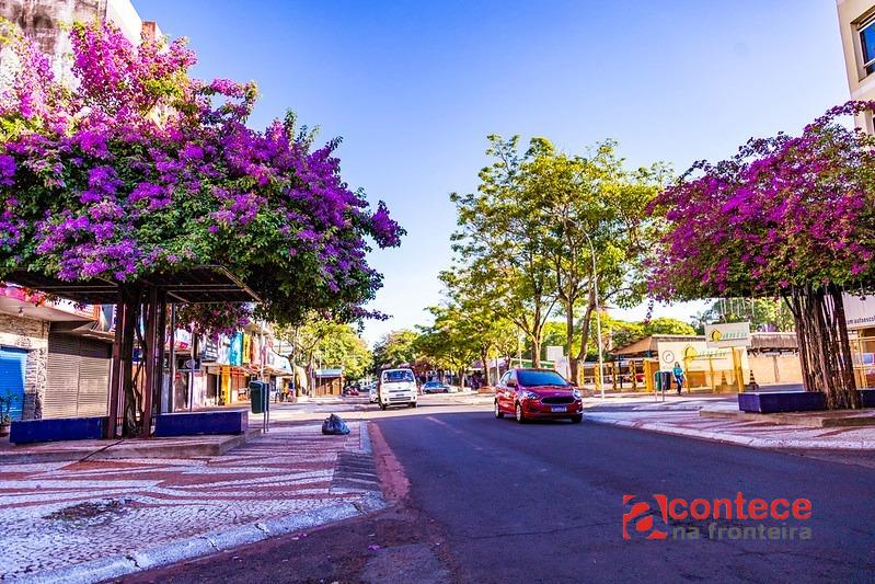 Prefeitura de Foz do Iguaçu leva arte à Avenida Brasil com ação cultural aos sábados