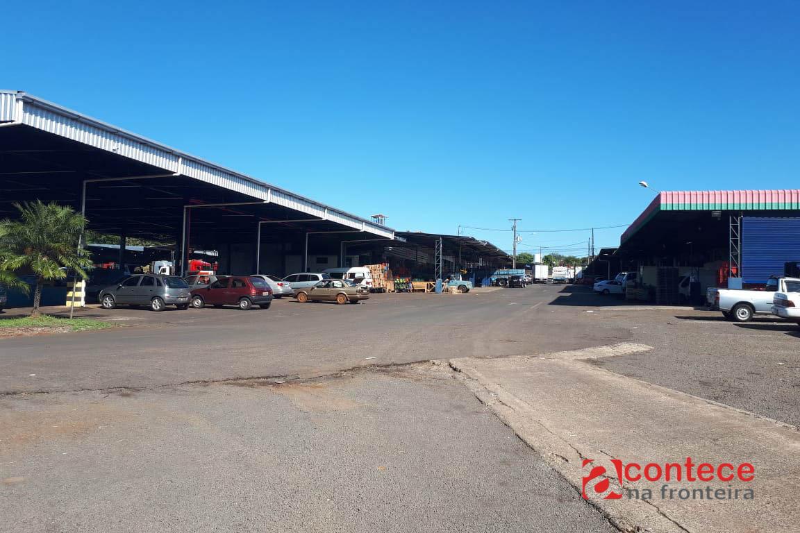 Ceasa de Foz do Iguaçu terá licitação de áreas para o comércio de hortigranjeiros