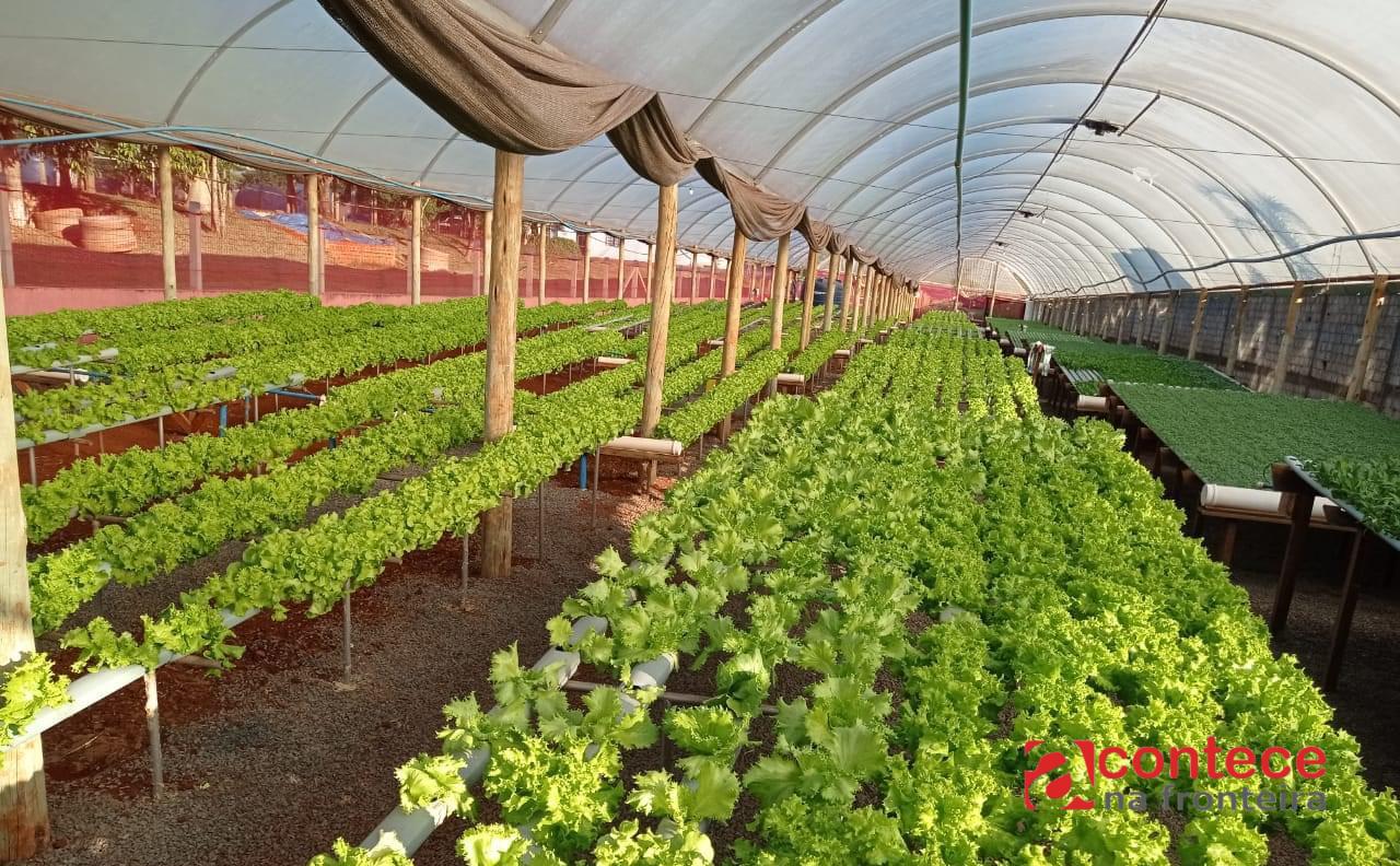 Agroindústria pode ganhar novo impulso com programa em análise na Câmara de Foz