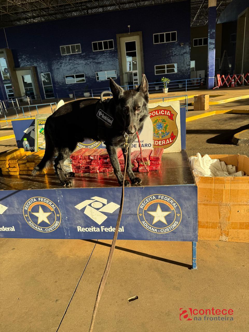 Receita Federal apreende 167 kg de substância análoga à maconha na Ponte Internacional da Amizade