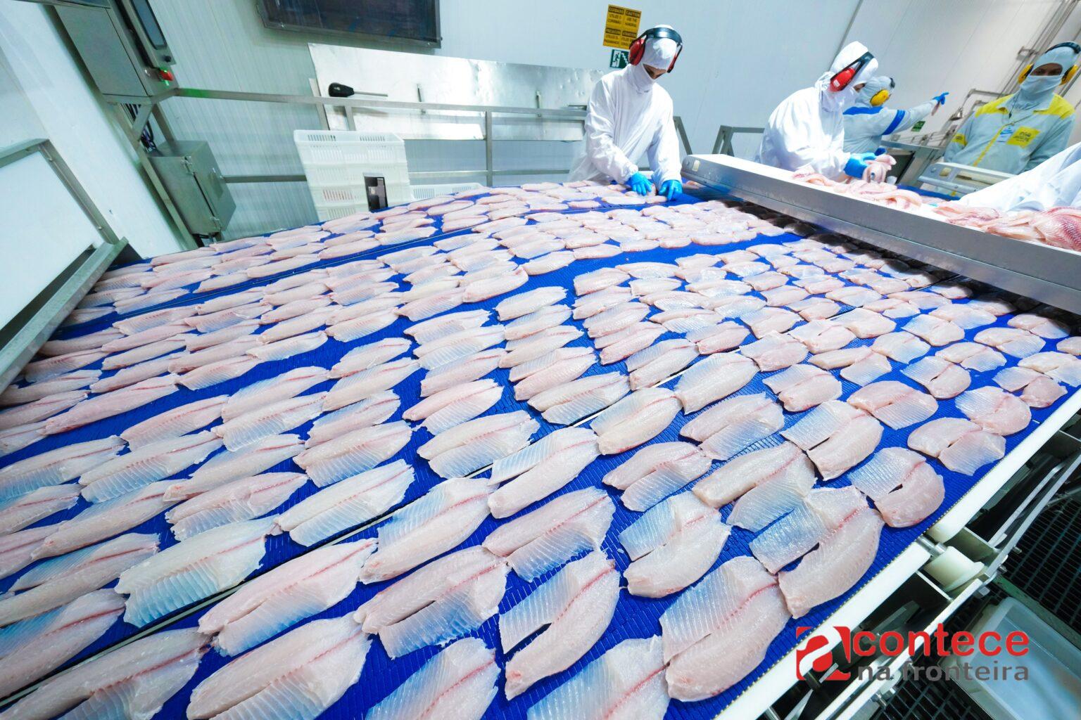 Representantes do Paraguai conhecem a cadeia da tilápia no oeste do Paraná