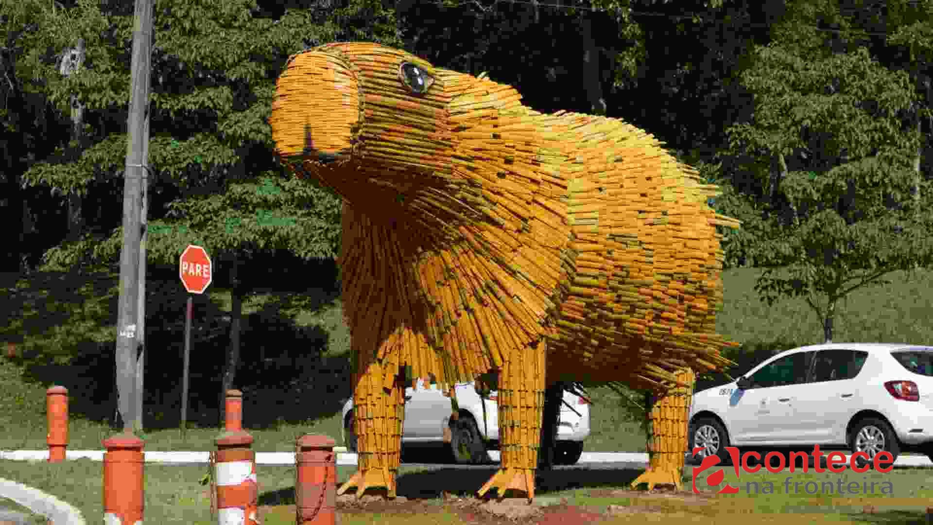 Câmara requer planejamento e transparência para o Natal 2026 em Foz