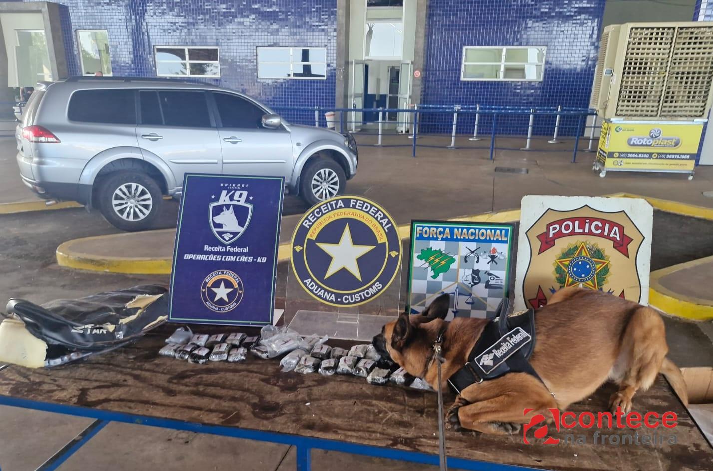Agente canina Urla da Receita Federal detecta droga em motocicleta na Aduana da Ponte da Amizade