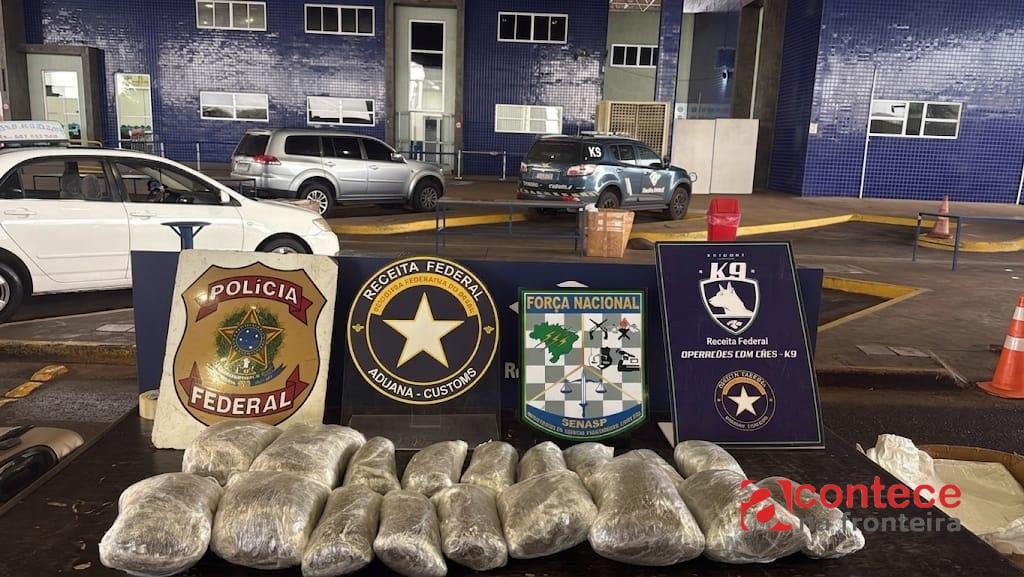 Receita Federal apreende aproximadamente 10 kg de substância análoga ao capulho