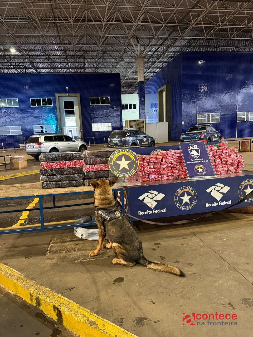 Agente Canino Pike localiza 248 kg de substância análoga à maconha em van paraguaia na Aduana da Ponte da Amizade