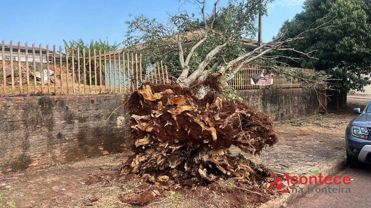 Cobertura de casa arrancada, queda de árvores e falta de energia: temporais deixam estragos em cidades do Paraná