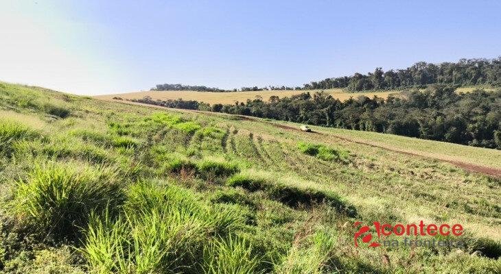 Depois da COP17, Brasil é cobrado a efetivar metas de restauração