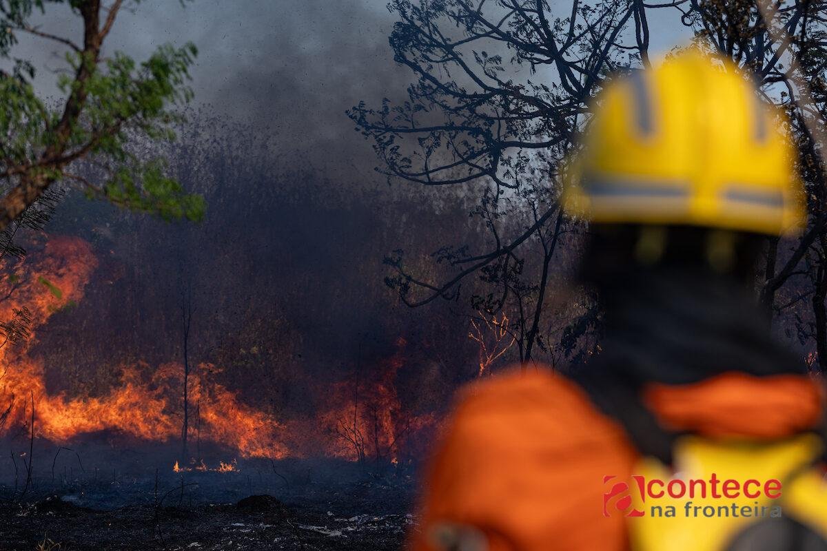 Seca e ação humana elevam risco de incêndios no Distrito Federal