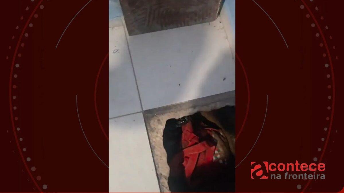 VÍDEO: polícia sente piso solto embaixo de cama e encontra drogas escondidas em fundo falso no chão de casa, no Paraná