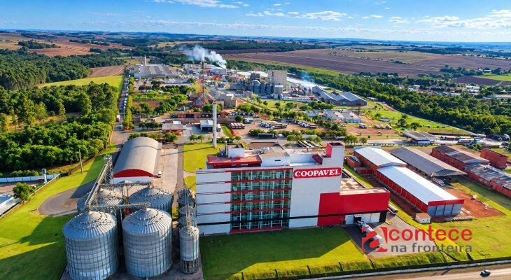 Paraná tem 19 cooperativas entre as mil maiores empresas do país