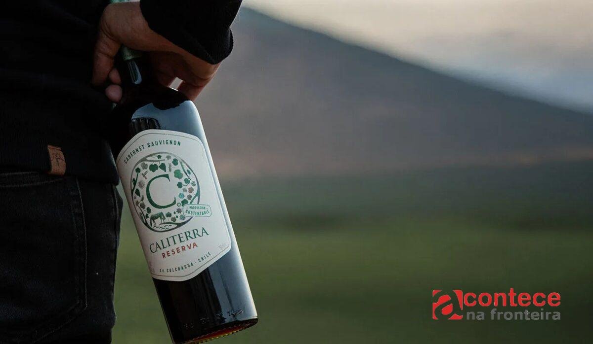 5 vinhos de Cabernet Sauvignon de excelente custo-benefício