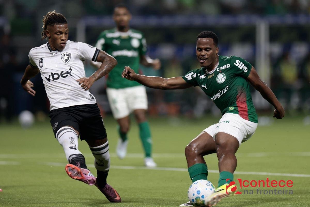 Botafogo x Palmeiras opõe crise e liderança no Brasileirão; veja odds