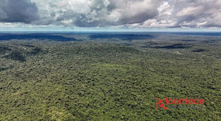 Brasil poderá contratar US$ 1 bilhão com BID para financiar Eco Invest