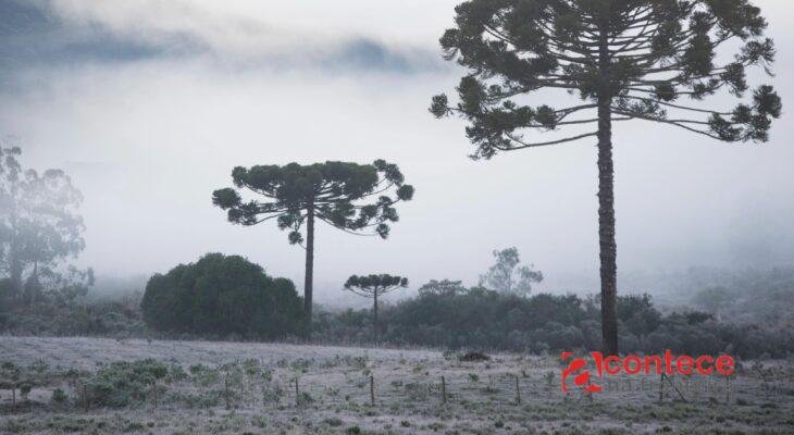 Feriado no Paraná: Frio abaixo de zero e calor extremo no BR
