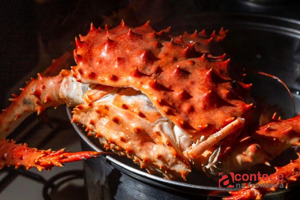 Do king crab ao dry aged: carnes e temperos para sair do comum na cozinha