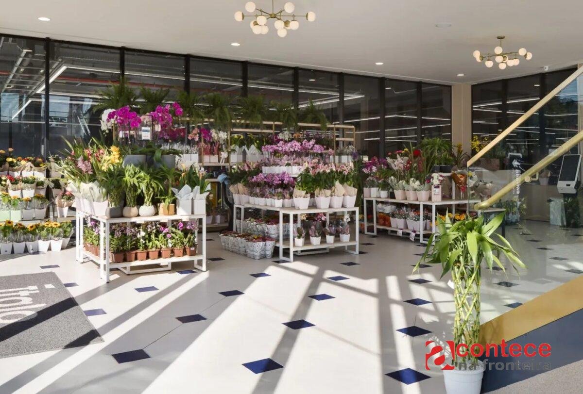 Entre flores, cores e aromas: quando a beleza também faz parte das compras