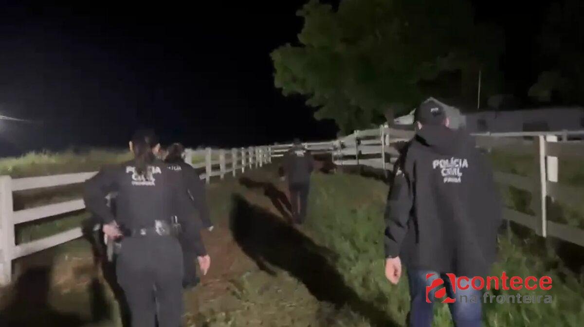 Operação policial combate furto de gado no Paraná