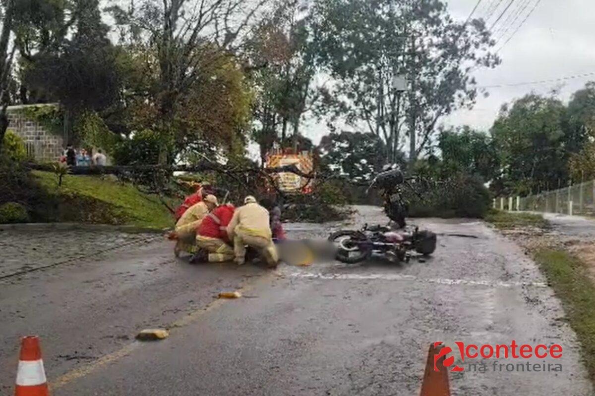 Moto é atingida por árvore em Curitiba: piloto grave