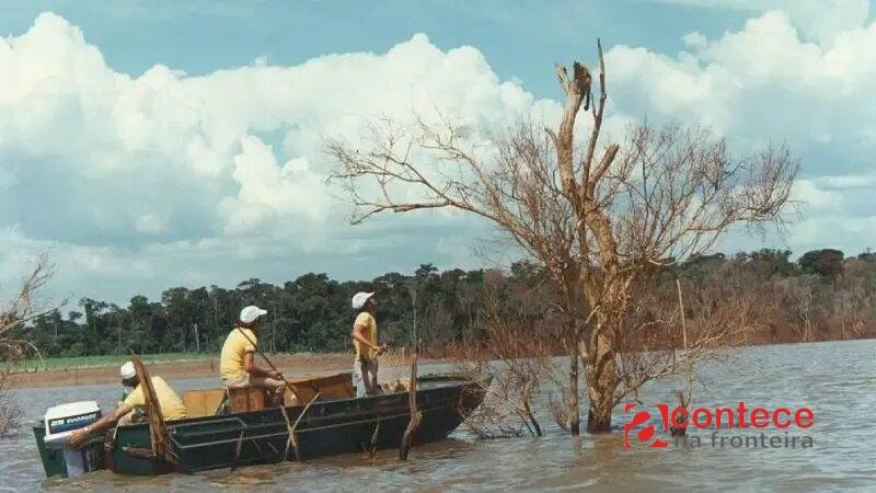 Resgate histórico em Itaipu salvou quase 39 mil animais no Paraná