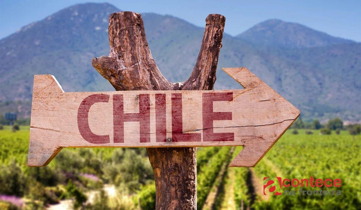 No Dia do Chile, descubra 5 vinhos tintos de excelente custo-benefício
