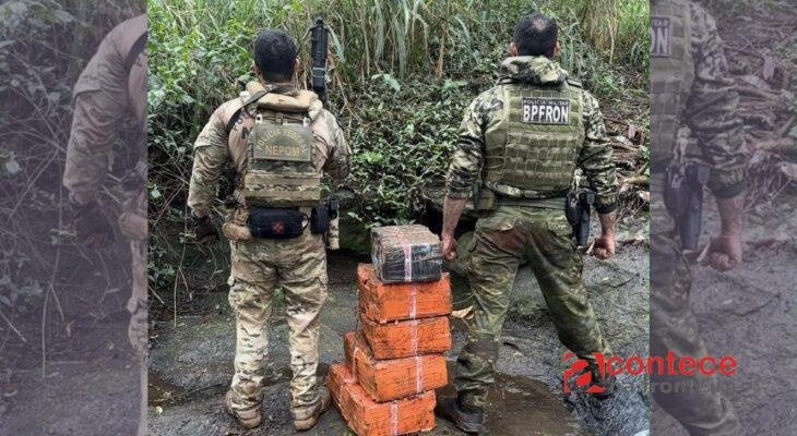 Operação apreende quase 140 kg de maconha no Paraná