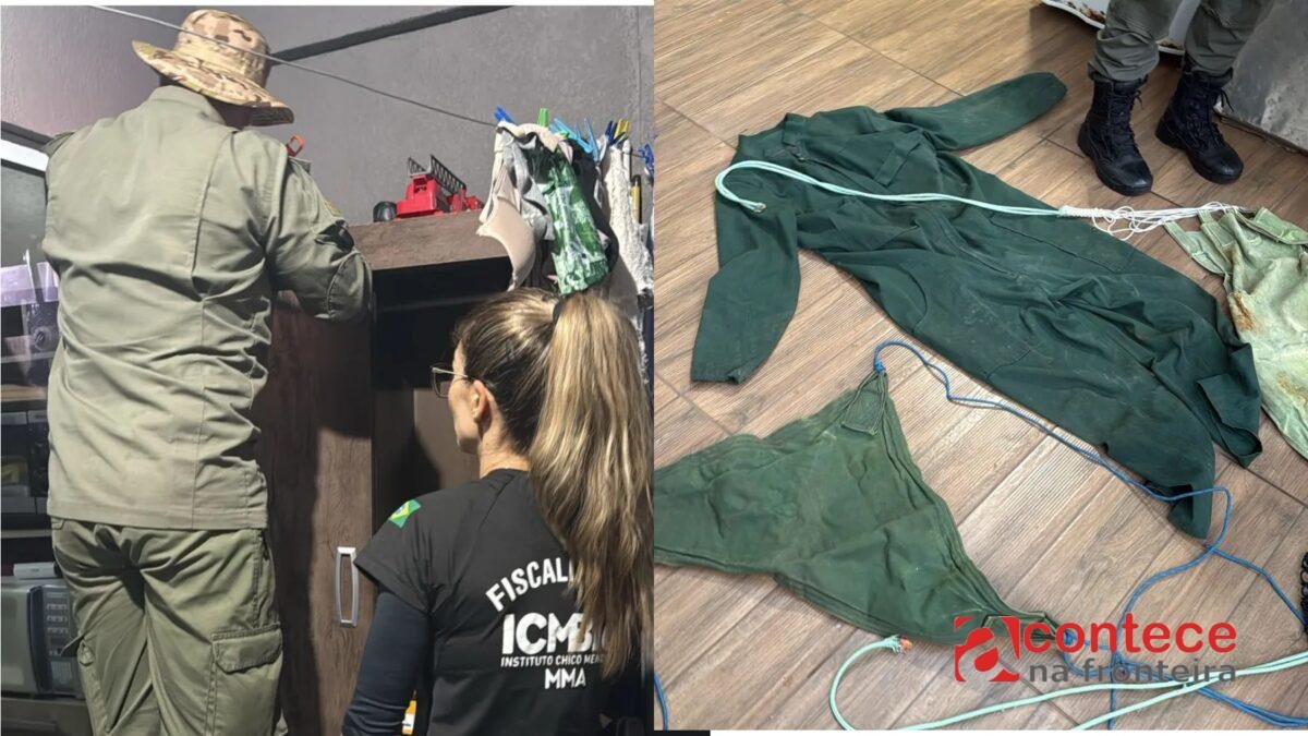 Operação da PF mira suspeitos de invadir área protegida do Paraná à noite para caçar animais ameaçados de extinção