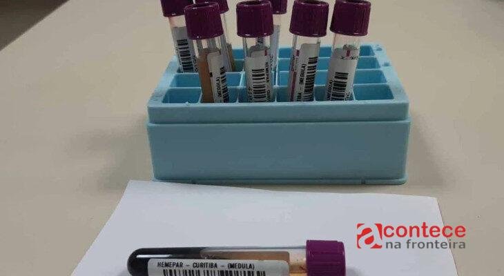 Paraná alcança quase 600 mil cadastros de medula óssea