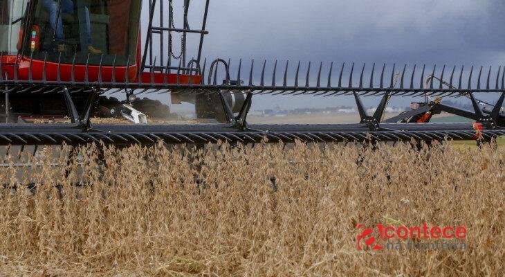 Safra do Brasil pode atingir 366 mi de toneladas em 2026/27