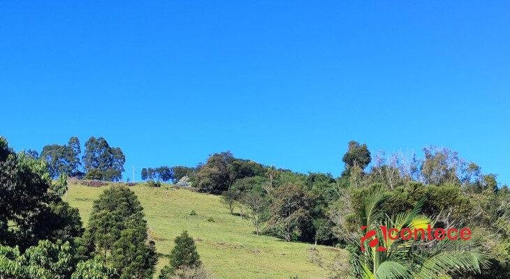 Calor de até 30°C e sol marcam sexta-feira no Paraná