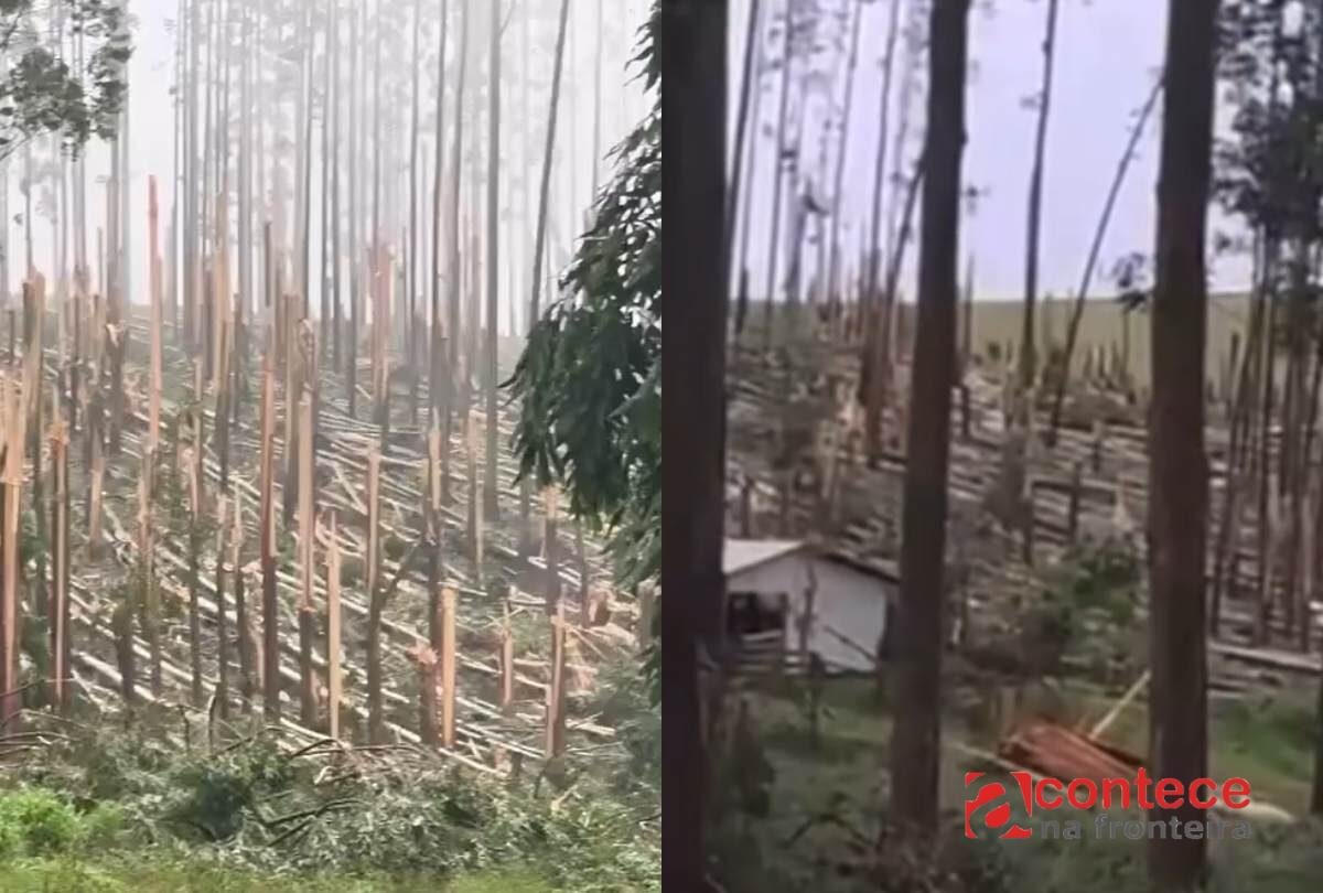 Simepar confirma dois tornados no Paraná em 10 horas