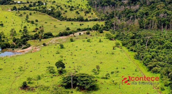 STF manda rever penhora de pequena fazenda hipotecada