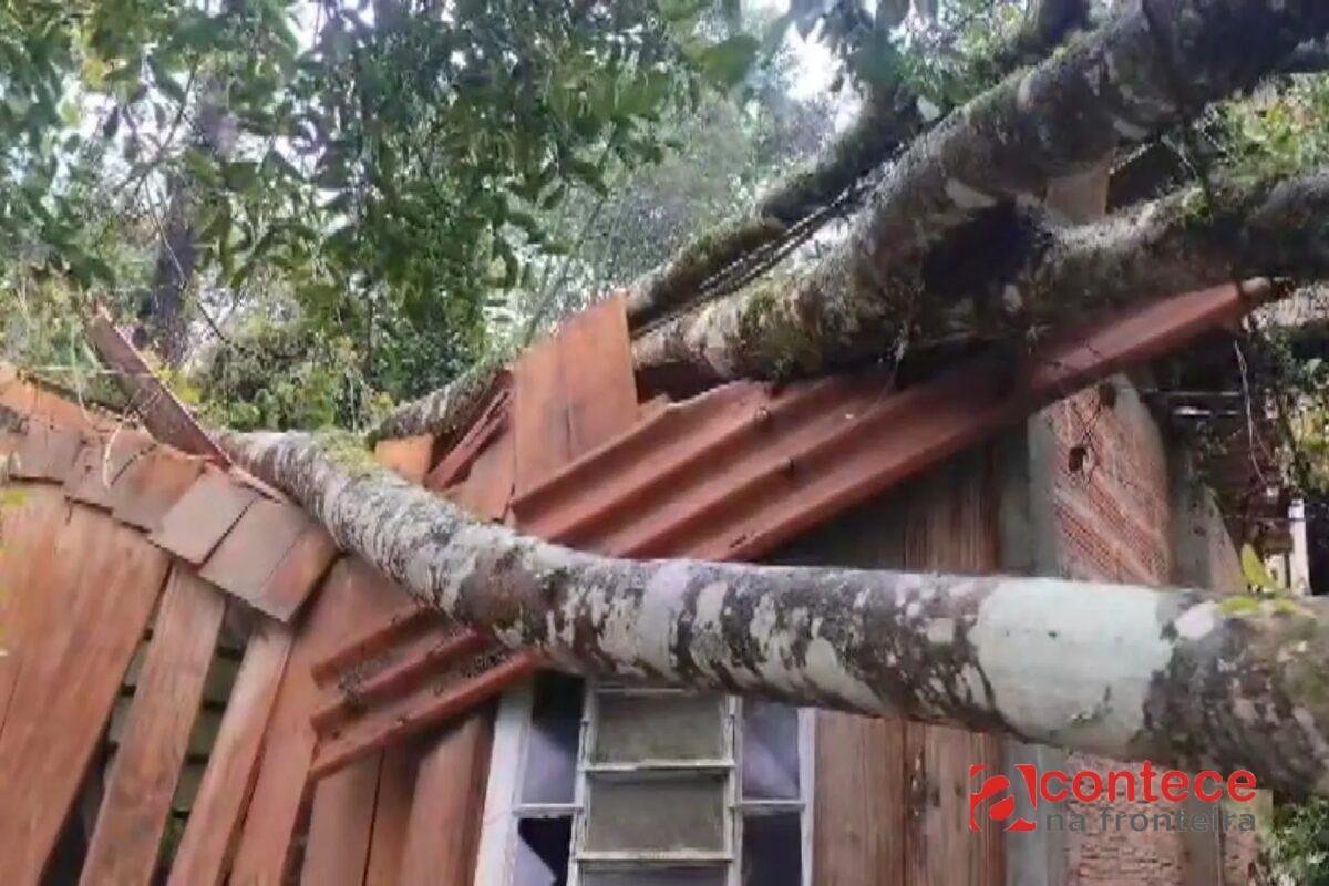 Temporal deixa ruas alagadas, derruba árvores e causa estragos em Curitiba e região; veja como fica o tempo nesta terça (1º)