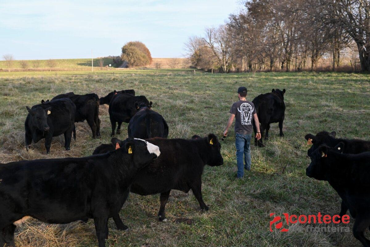 Trump apoia rotulagem da origem da carne bovina e simplifica processo para pecuaristas