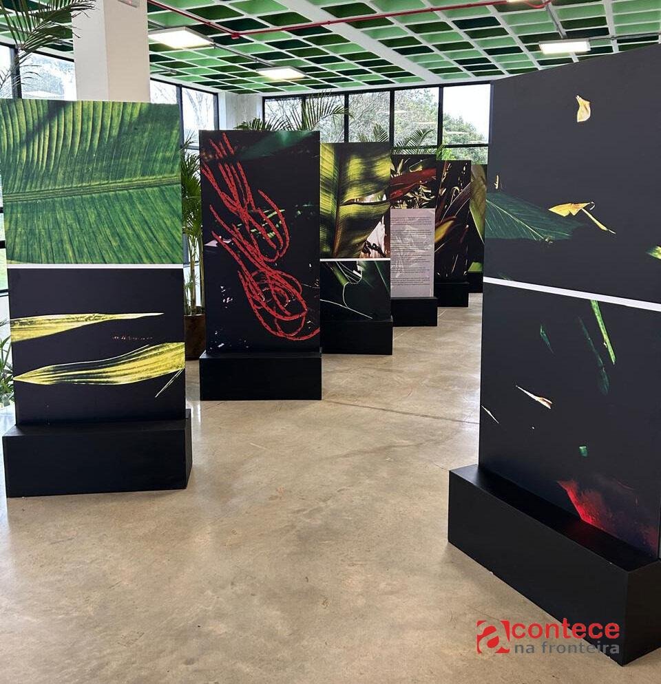 Últimos Dias: Exposição “Noites da Floresta” segue em cartaz até dia 28 no Ecomuseu de Itaipu