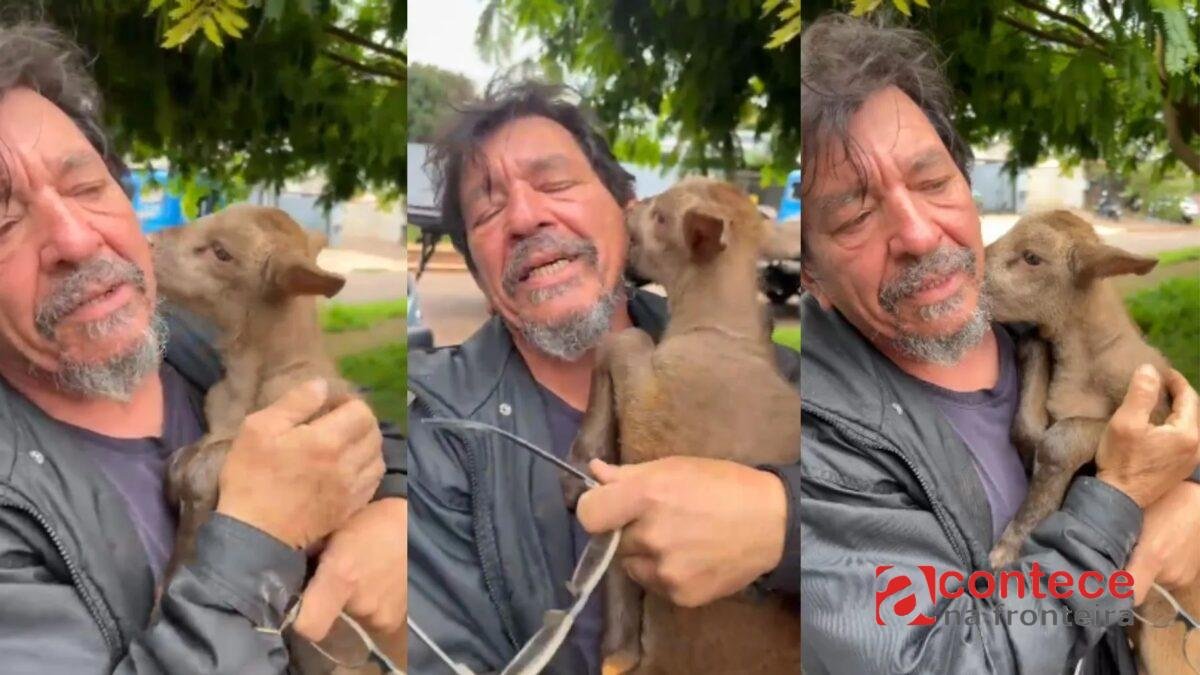 VÍDEO: filhotinho de cabra é levado por motoboy no Paraná, campanha para encontrá-lo viraliza e reencontro é filmado: ‘Fica sempre do meu lado’