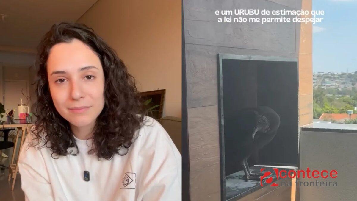 Moradora acha urubu em churrasqueira e descobre proibição