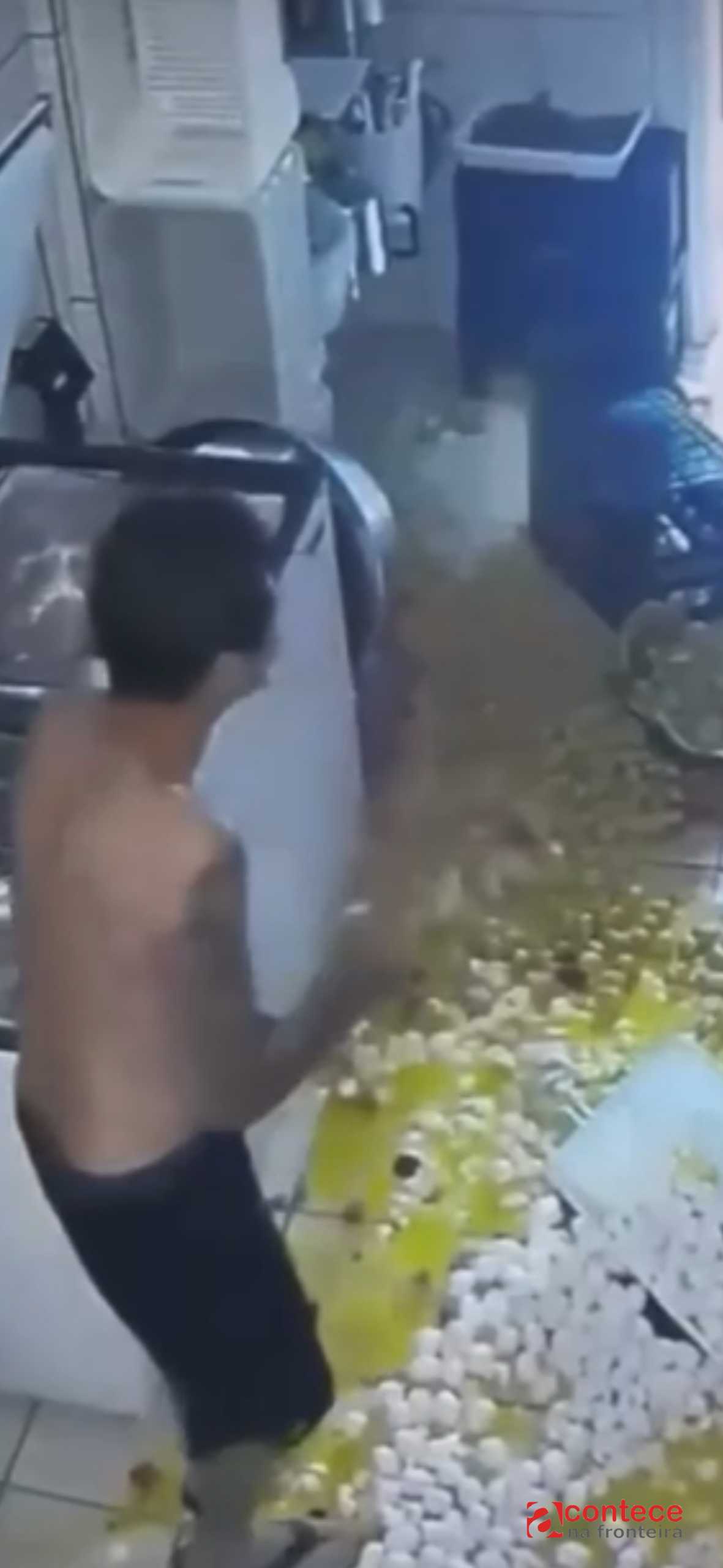 GM Localiza Vândalos Que Depredaram Escola na Vila C