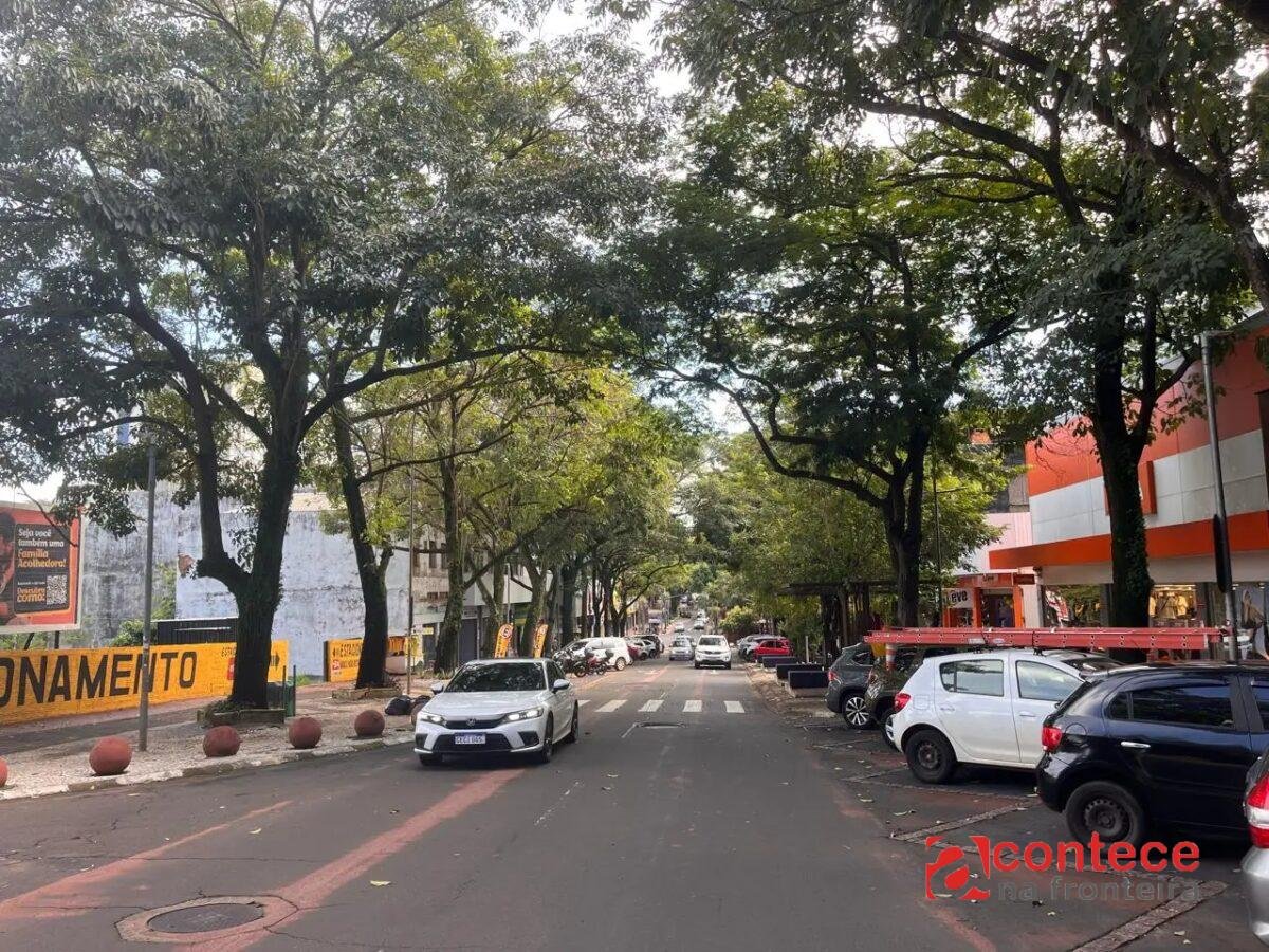 Avenida Brasil em Foz do Iguaçu terá poda de árvores