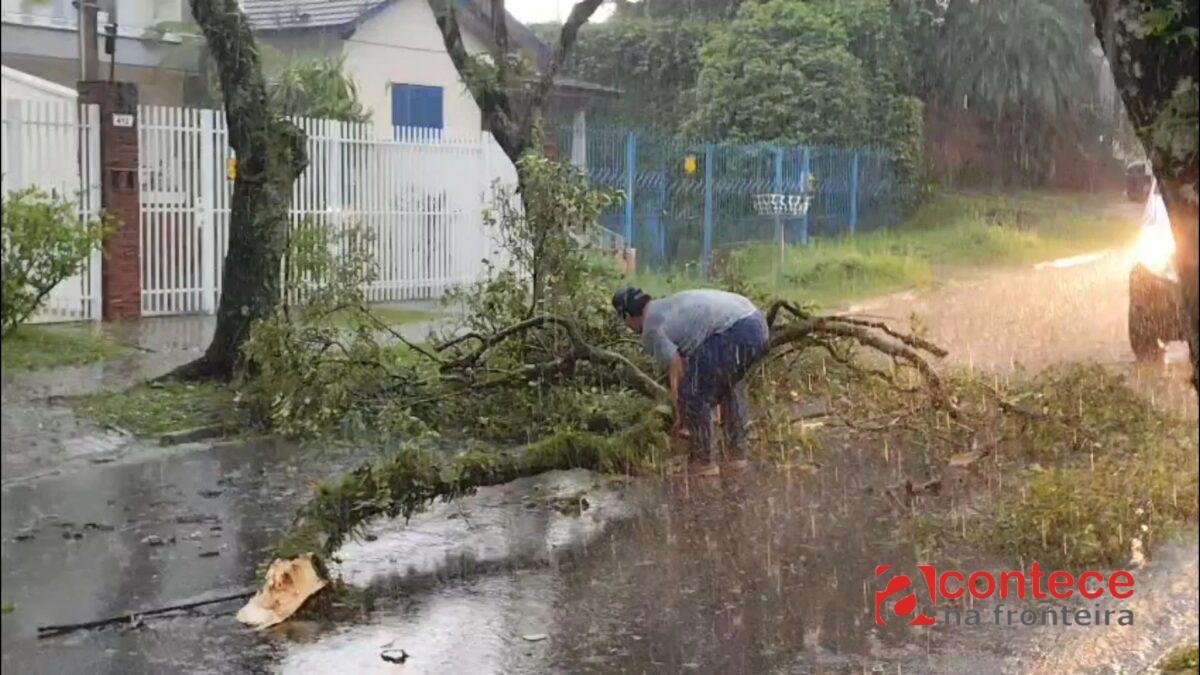 Temporal em Curitiba tem granizo, árvores caídas e alagamentos