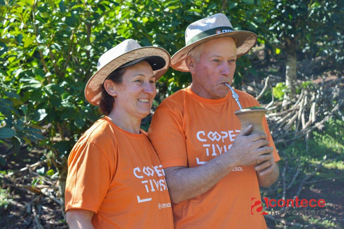 Família do Paraná transforma cultivo de erva-mate em tradição