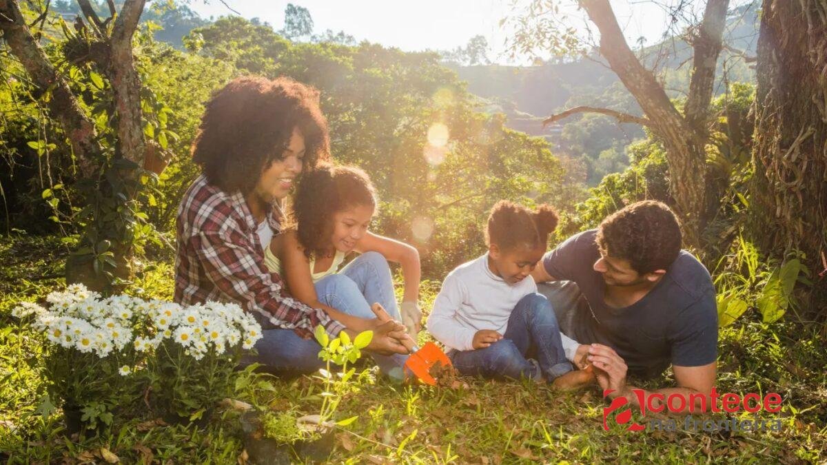 Repelente para primavera: saiba como evitar picadas sem oleosidade