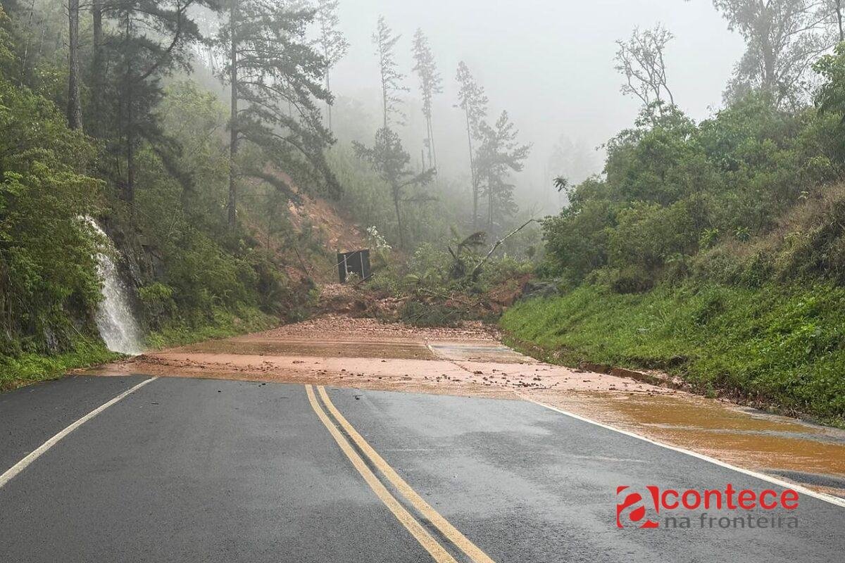 Rodovias do Paraná passam por limpeza após chuvas fortes