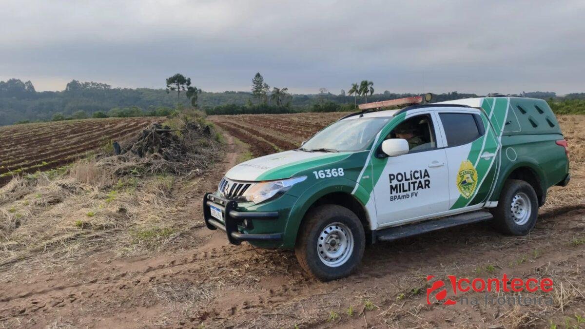 Fazendeiro leva multa de R$ 84 mil por desmatamento no PR