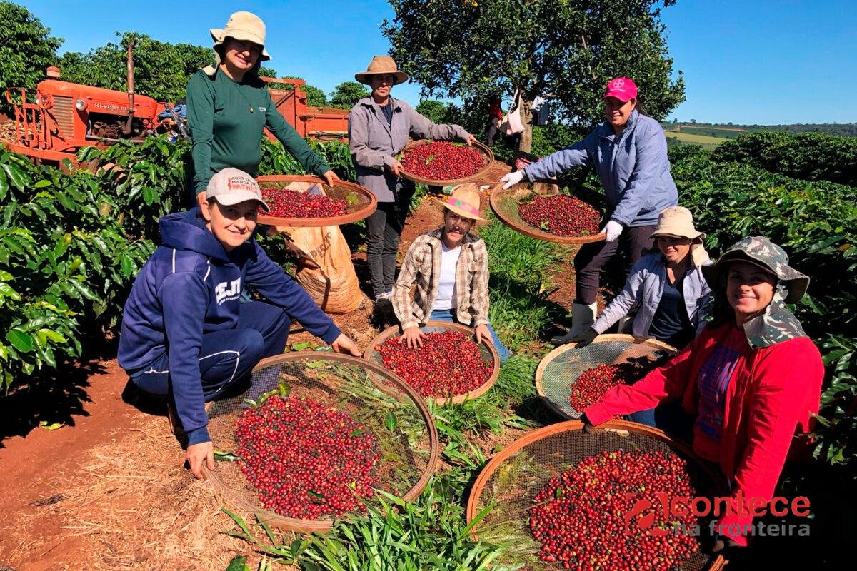 Feira em Curitiba destaca agroindústria familiar e mulheres