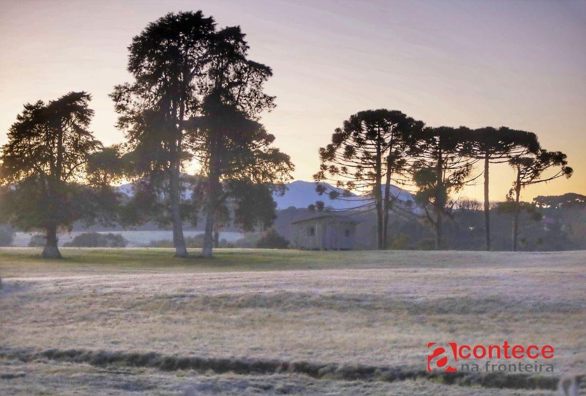 Frio de 5°C no Paraná: Saiba quando a temperatura despenca
