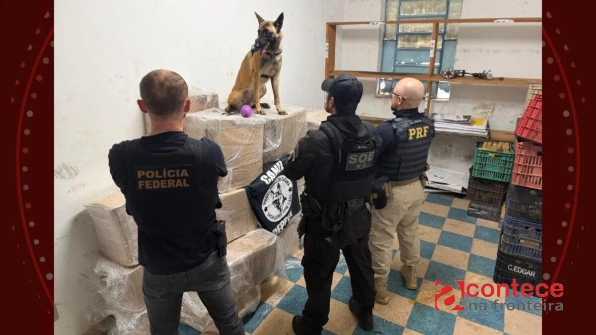 Quase 1 tonelada de drogas é apreendida em caminhão no PR