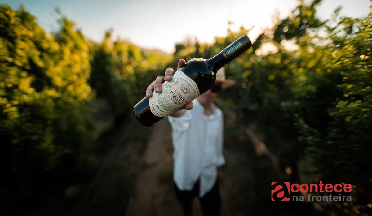 Os 5 atributos que você deve procurar no vinho para saber se é bom