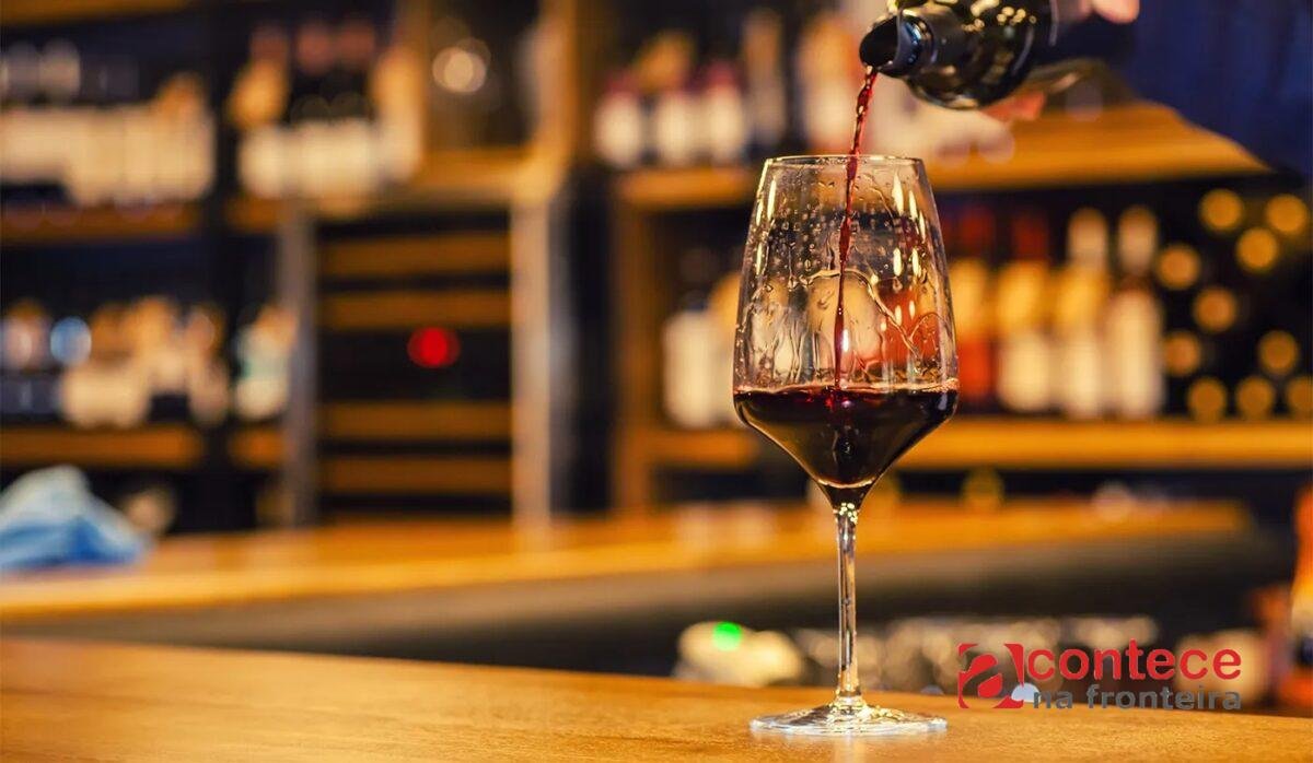 Os melhores vinhos tintos frutados para iniciantes