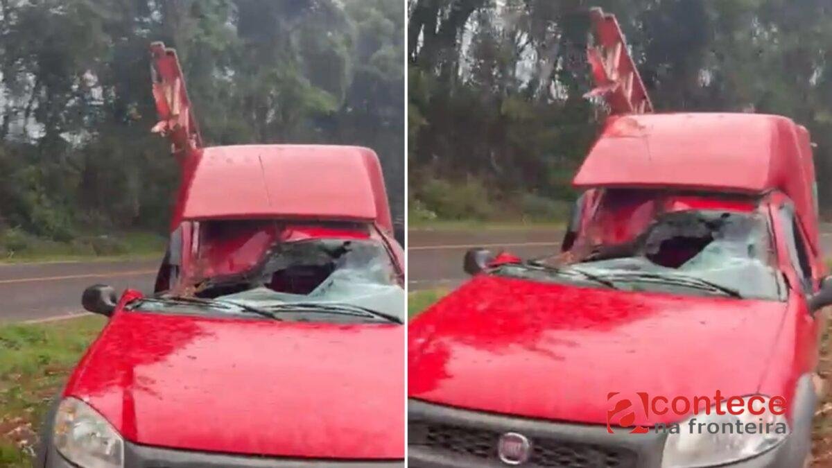 Passageiro escapa após árvore esmagar carro no Paraná