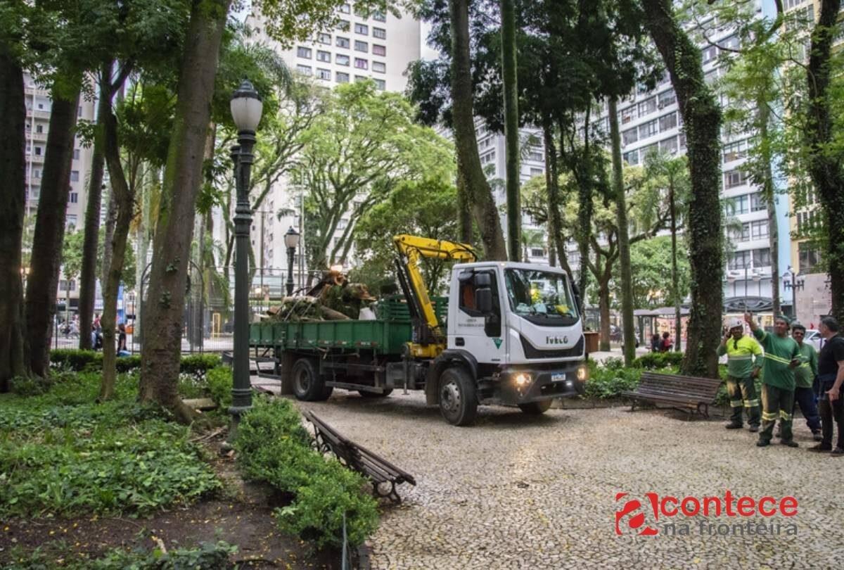 Praça Osório é fechada em Curitiba após queda de galhos